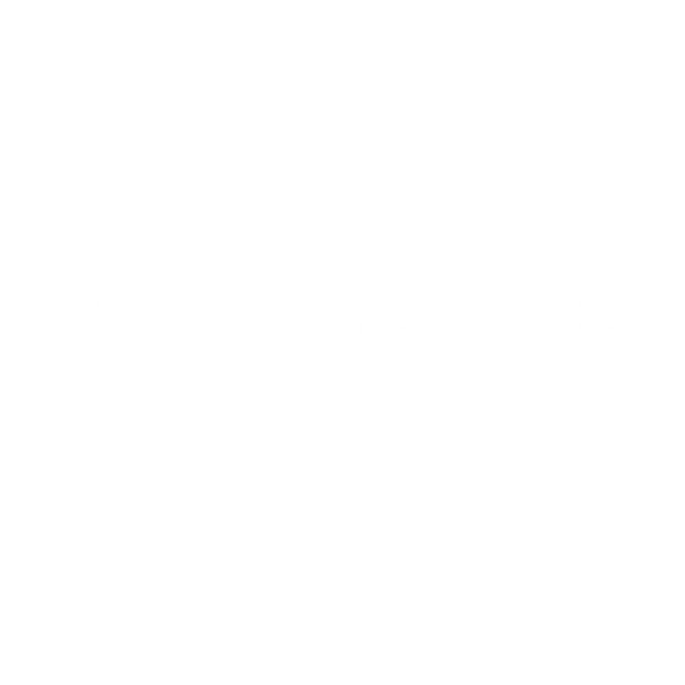 VioraStore